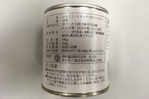 IMG-1252