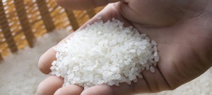 rice_img001