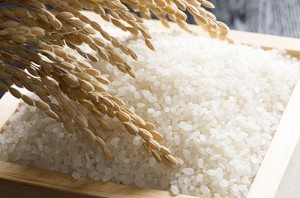 rice_img003