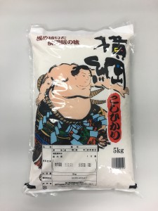 横綱コシヒカリ1